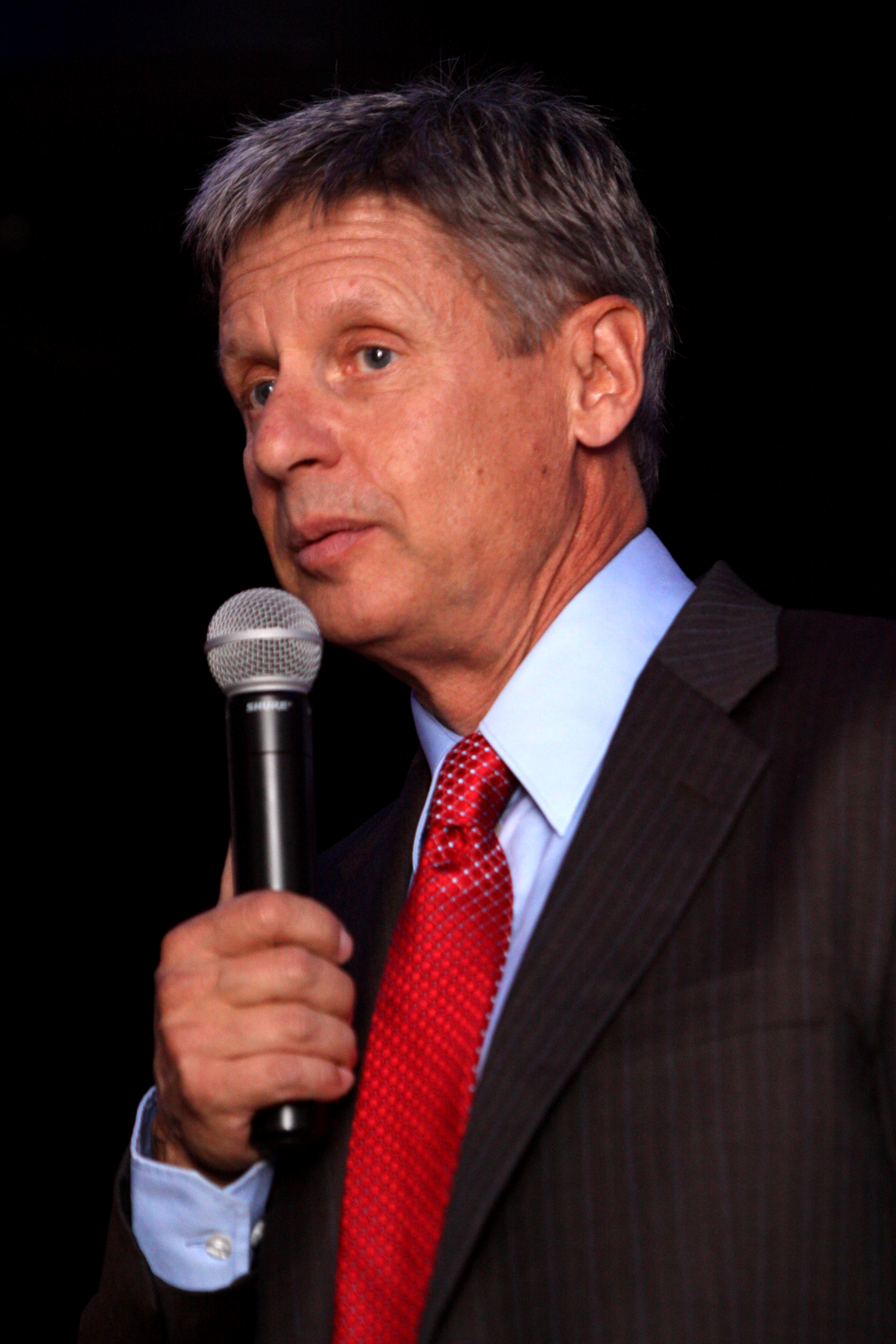 Did the Russians Influence Gary Johnson’s Vote Totals?